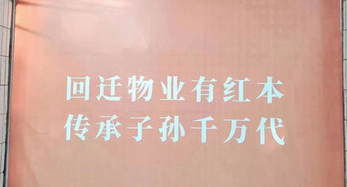 深圳遍地“咚咚咚” 挖掘機聲為何成了“新特產”？